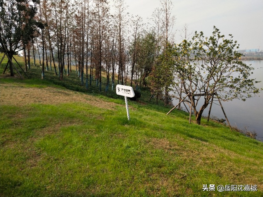 岳阳市东风湖恒大御景湾,岳阳东风湖恒大御景湾风景