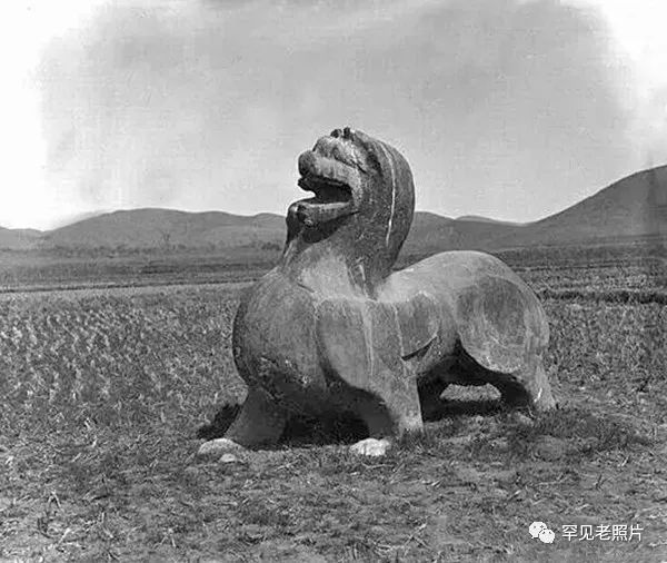 100年南京大桥绘画,南京红色100年