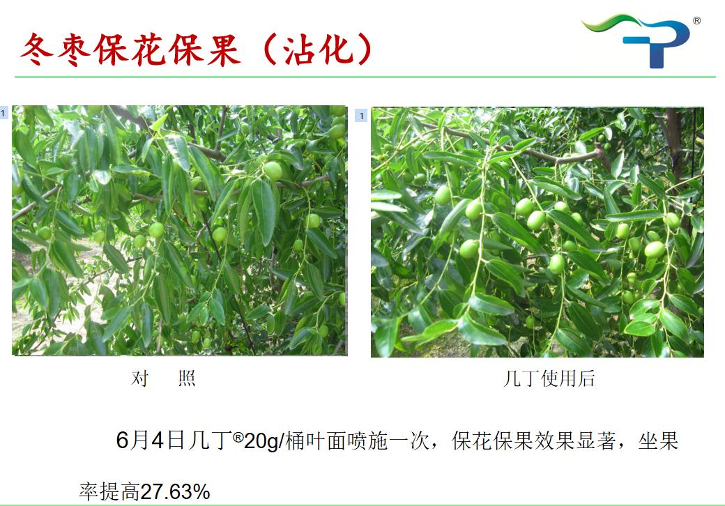 几丁聚糖农药作用机理,几丁聚糖在植物中的作用