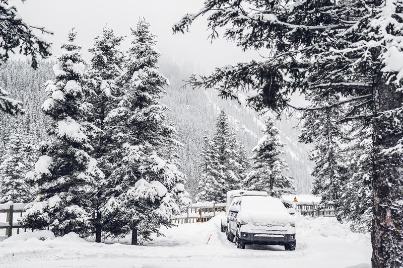 加拿大魁北克冰雪节,加拿大艾伯塔省节