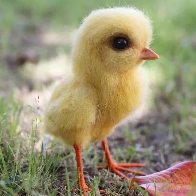 适合发说说的句子搞笑简短一点,很皮又很逗比的说说短句