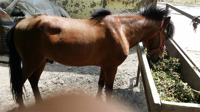 北京四季青西山采摘观光园,尽享采摘时光
