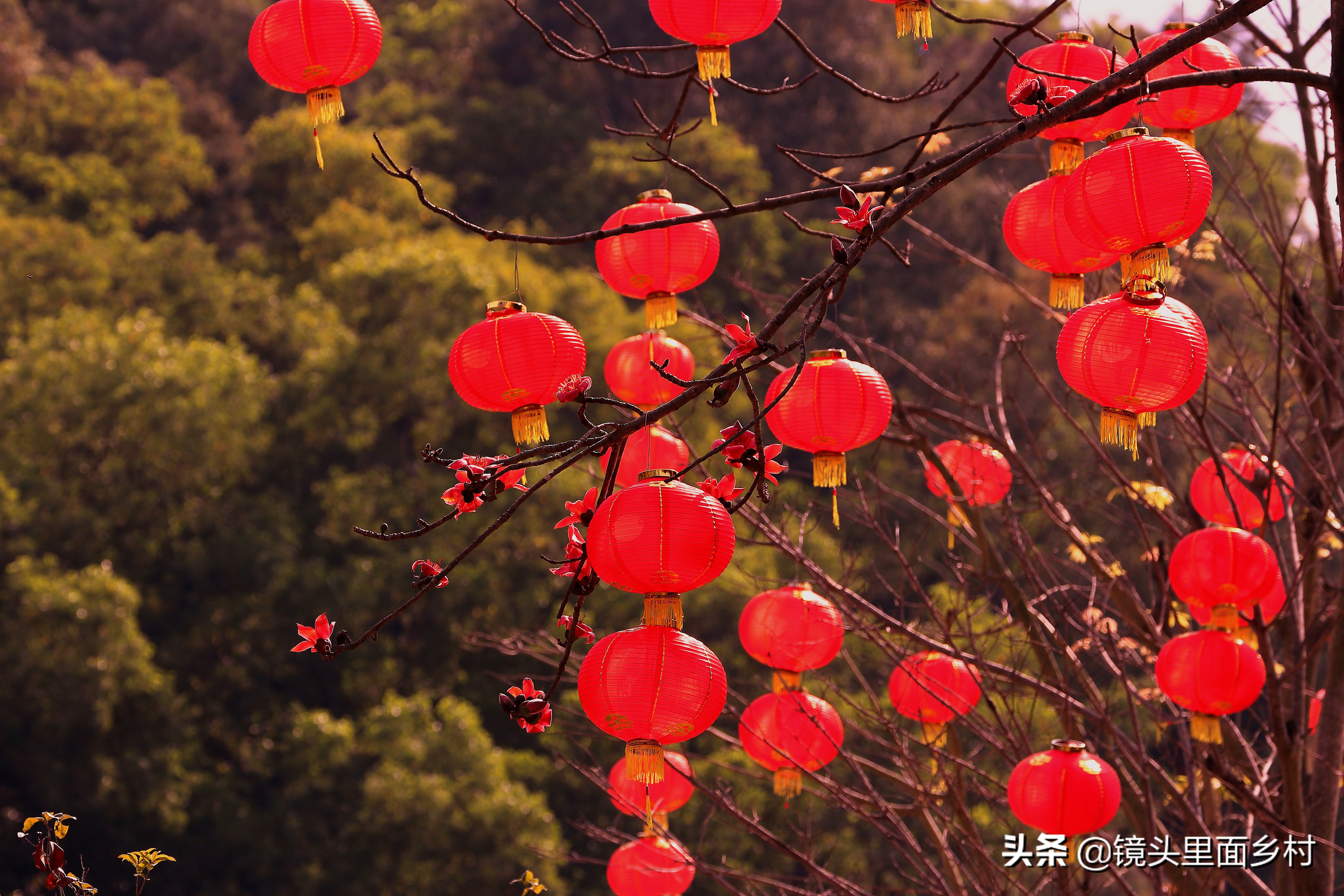 江西修水县何市镇奇异的风俗,元宵节要打大龄未婚男女屁股