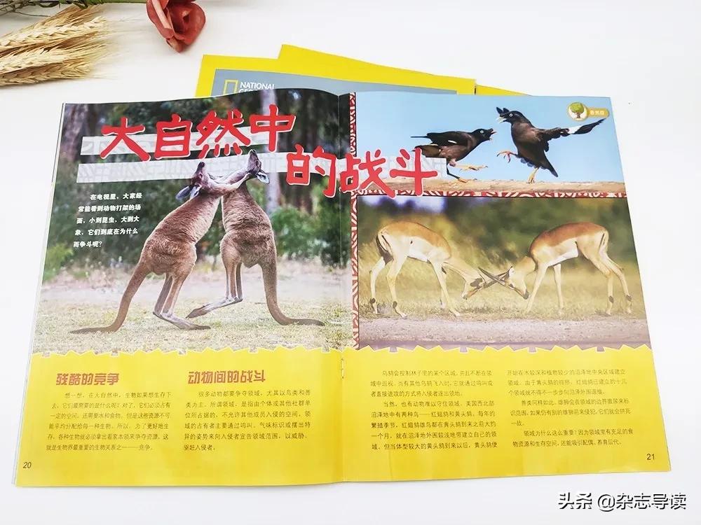 孩子必读的科普读物,哪些适合小学生看的科普杂志