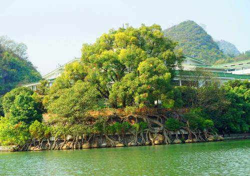 走读桂林,桂林桂湖春色简介