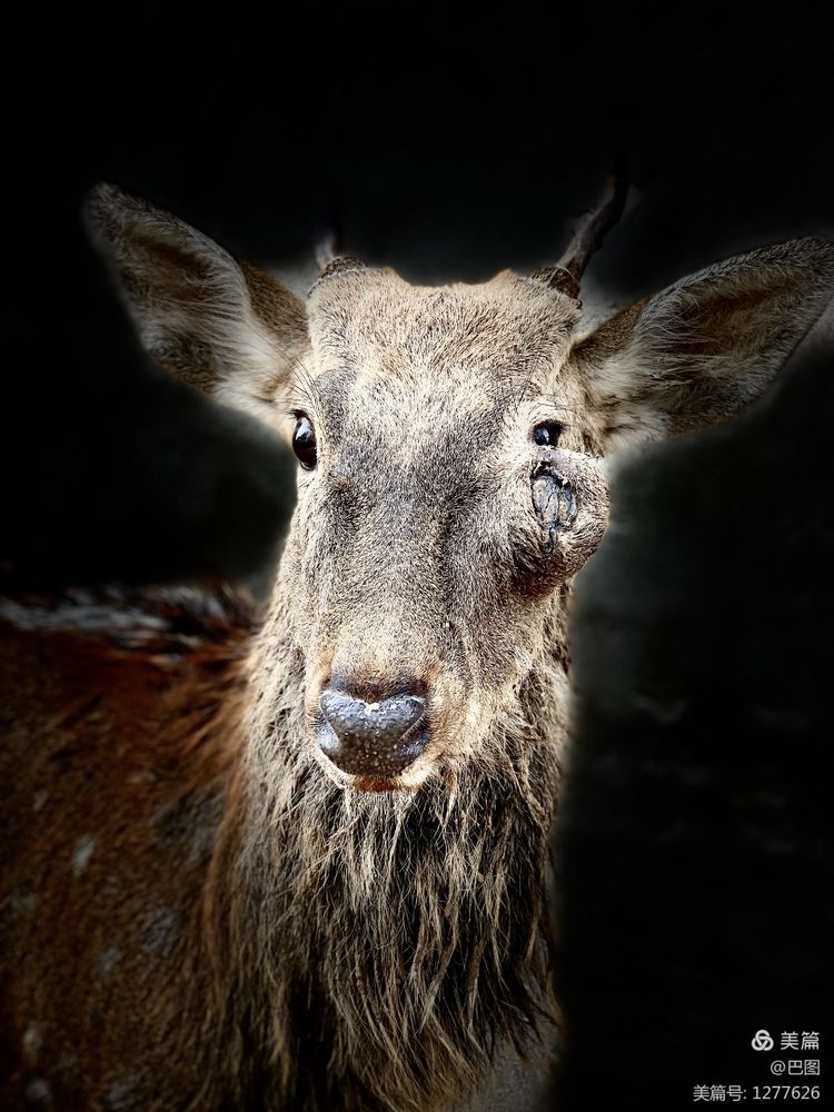 洛阳市宜阳凤凰岭射箭,宜阳县凤凰岭体育基地