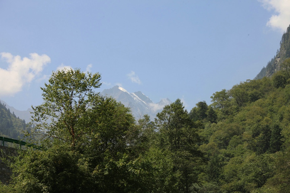 米亚罗-大美理礼县