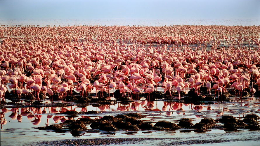 创维g2275寸电视怎么样,创维g22的画质如何