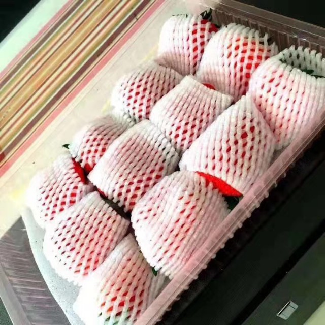 疫情期间丹东草莓滞销如何解决,因为疫情草莓滞销的原因