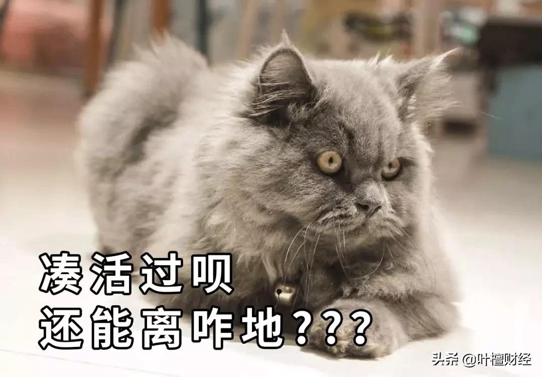 不能错过分析师深刻反思我为什么错过了这家好公司？|檀公司