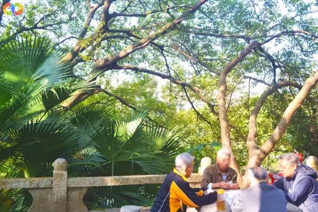 从平安路到桃园路的旧街，独属于老香洲的记忆