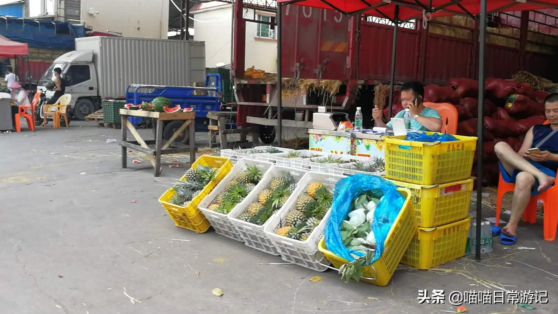 今年最佳水果批发市场在哪里,怎么找当地的水果批发市场