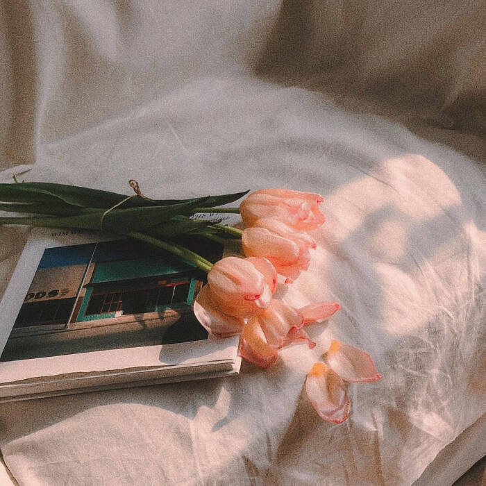 文案情绪零碎人间清醒,散落人间的文案