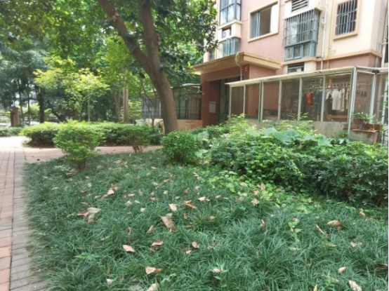 鍝佽川铚曞彉,鍝佽川铦跺彉