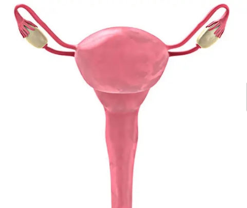 子宫感染病毒切不切子宫,子宫全切还会有什么病