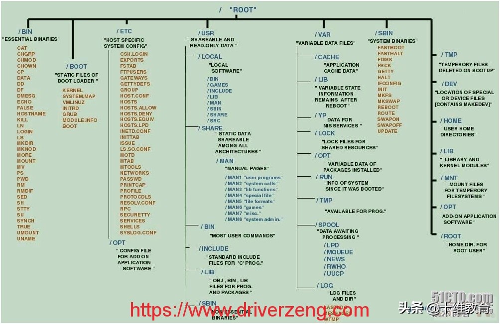 Linux系统入门：文件管理