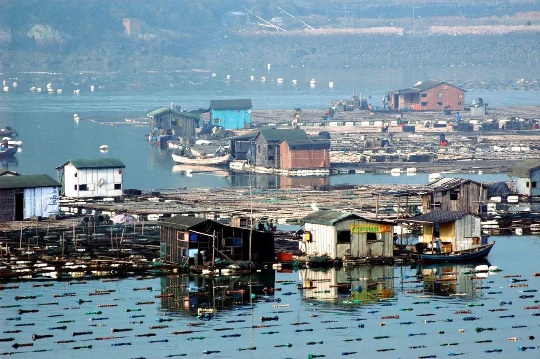 记忆中的宁德美食,福建宁德吃海鲜去哪里