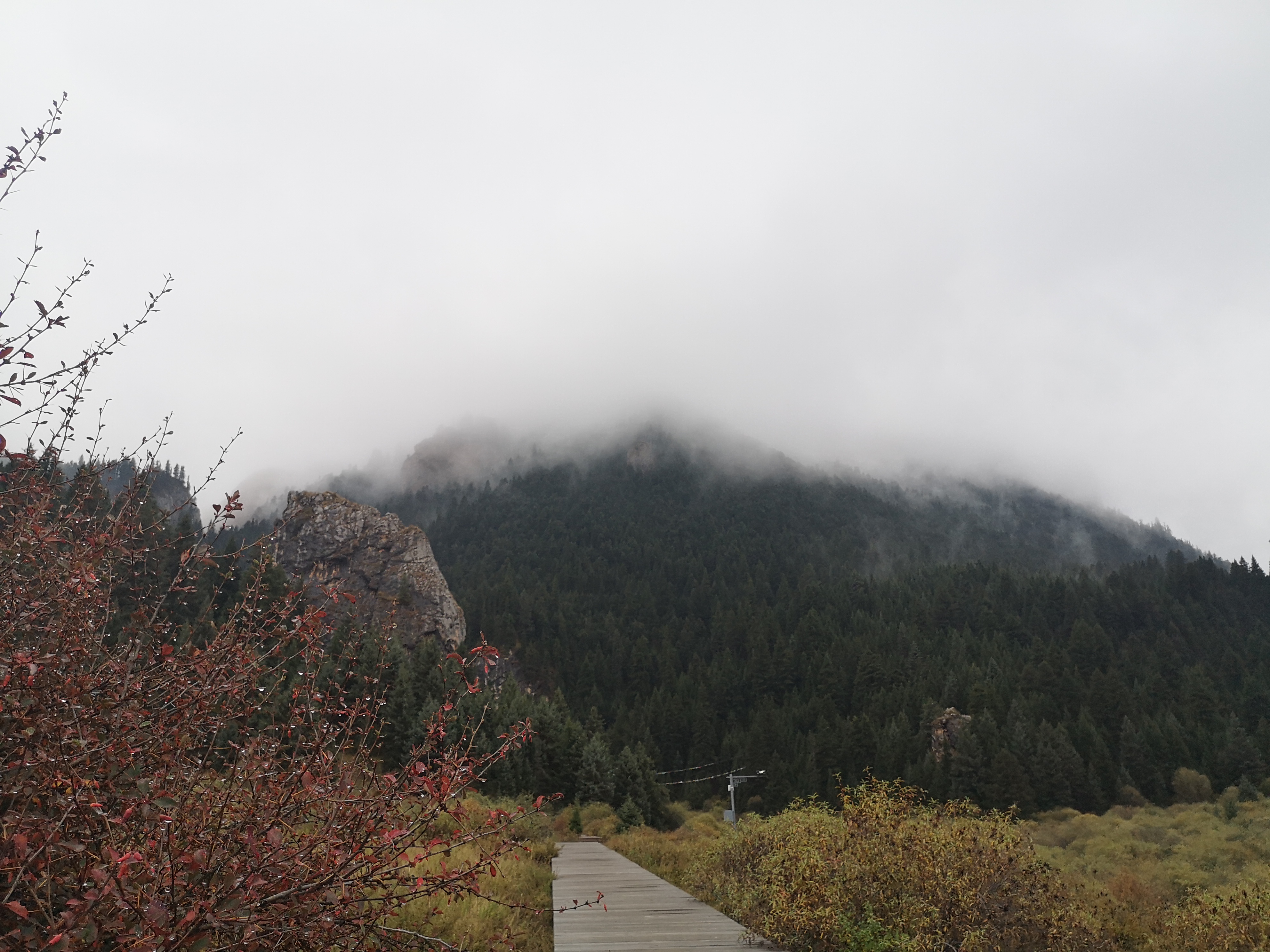 则岔石林游记,尕海湖和则岔石林