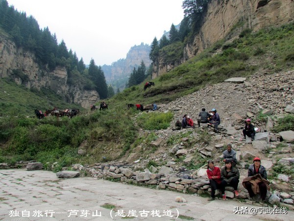 宁武芦芽山悬崖栈道,太原出发芦芽山马仑草原自驾路线