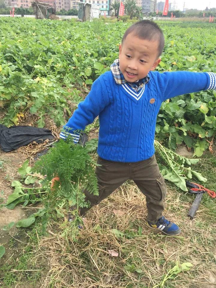 天冷了有什么取暖神器,数九寒冬屋内火炉取暖