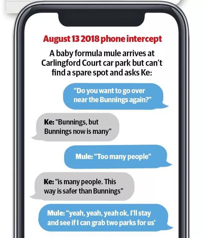 澳洲华人团伙偷奶粉,悉尼偷奶粉案进展