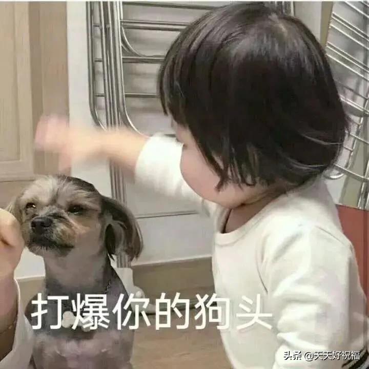 微信斗图动态表情包,微信聊天里有表情斗图吗