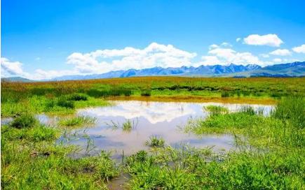 适合发表心情的句子图片,适合发心情的句子简短精致