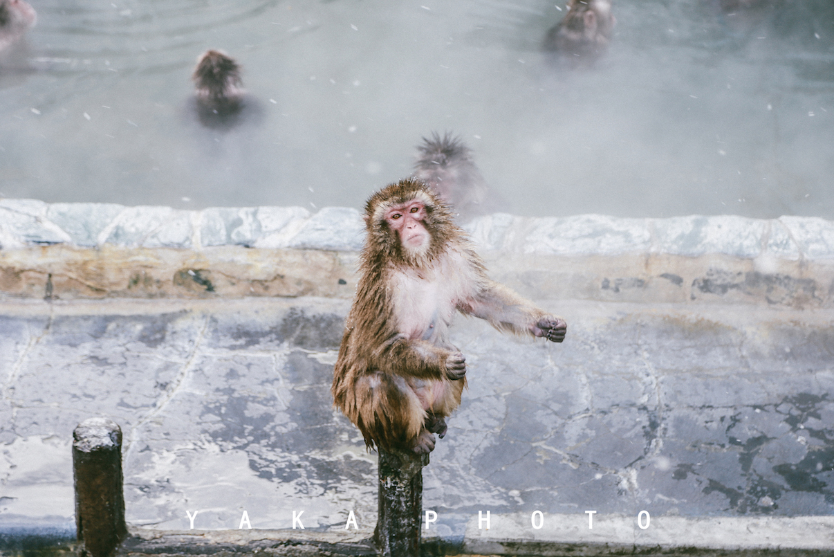 日本北海道旭川到函馆的距离,北海道函馆景点