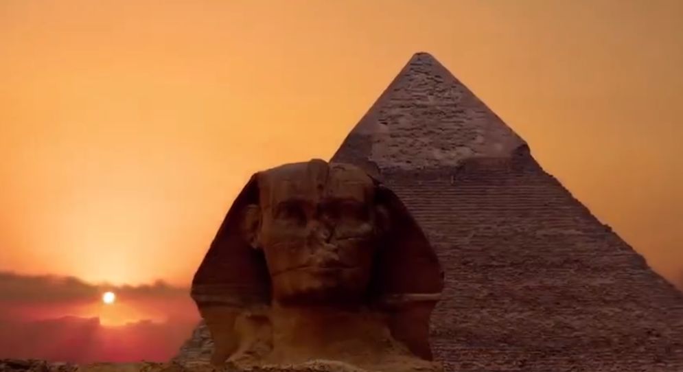 海豚“杰克”在暗礁海域为船只引航41年，爱让我们更懂得善待生命