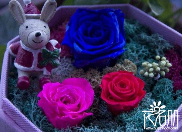 永生花一般多少钱一盒7大品牌永生花价格(89元-1999元不等)