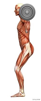筋膜的秘密图片,筋膜的奥秘深度解析