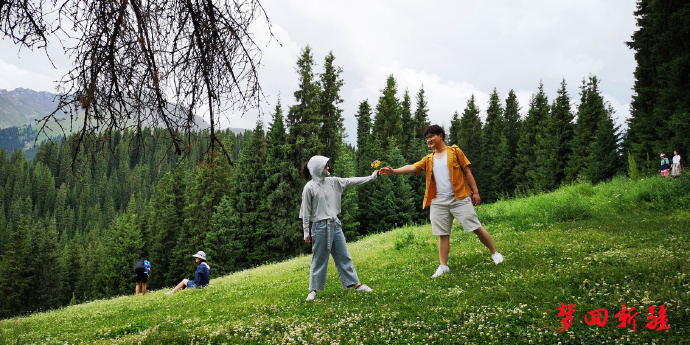 梦回新疆梦回拉萨,梦回伊宁草原视频