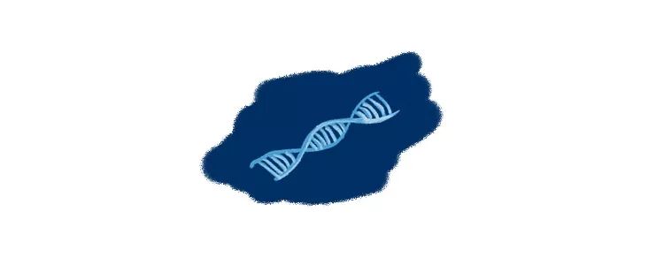 呼和浩特奶萌兽：足球摔跤样样行，体育课代表非他莫属丨Mr.Data