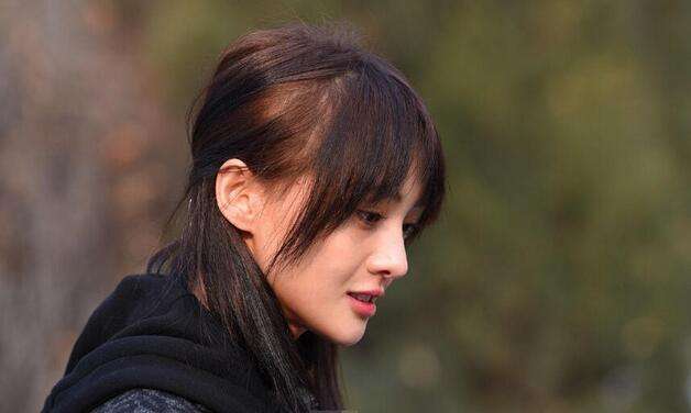 沙宣洗发水洗了脱发,沙宣洗发水洗了掉头发严重