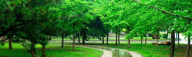 学科实力强的双非东北财经大学超本省两所211高校