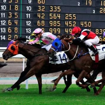武汉要发行赛马彩票,这次有没有戏?