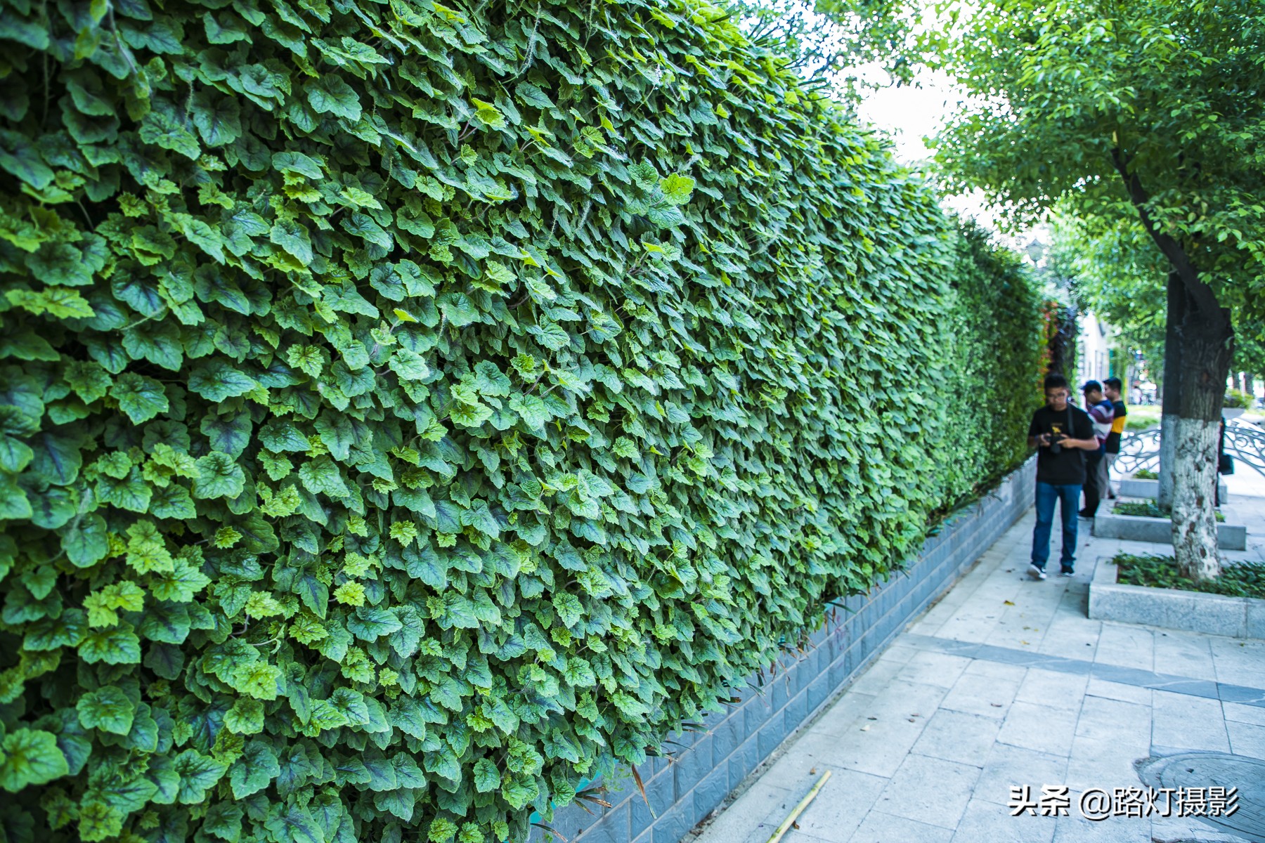 中国唯一一个永久性宜居城市,中国唯一一座永久性宜居城市