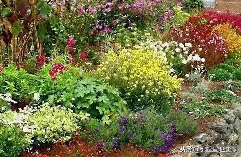 园林景观设计知识干货图,精品园林景观设计建造杂记