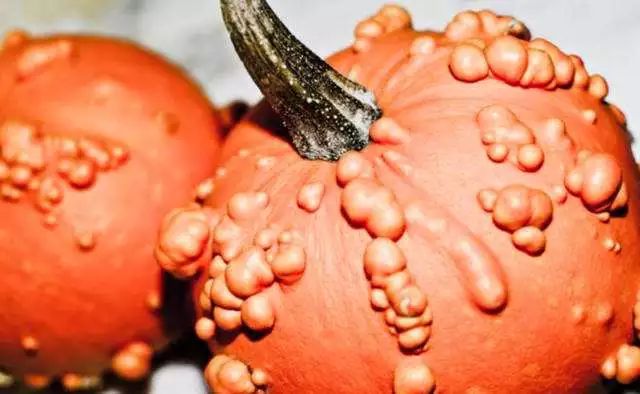 密恐慎入,密恐患者慎入的危害