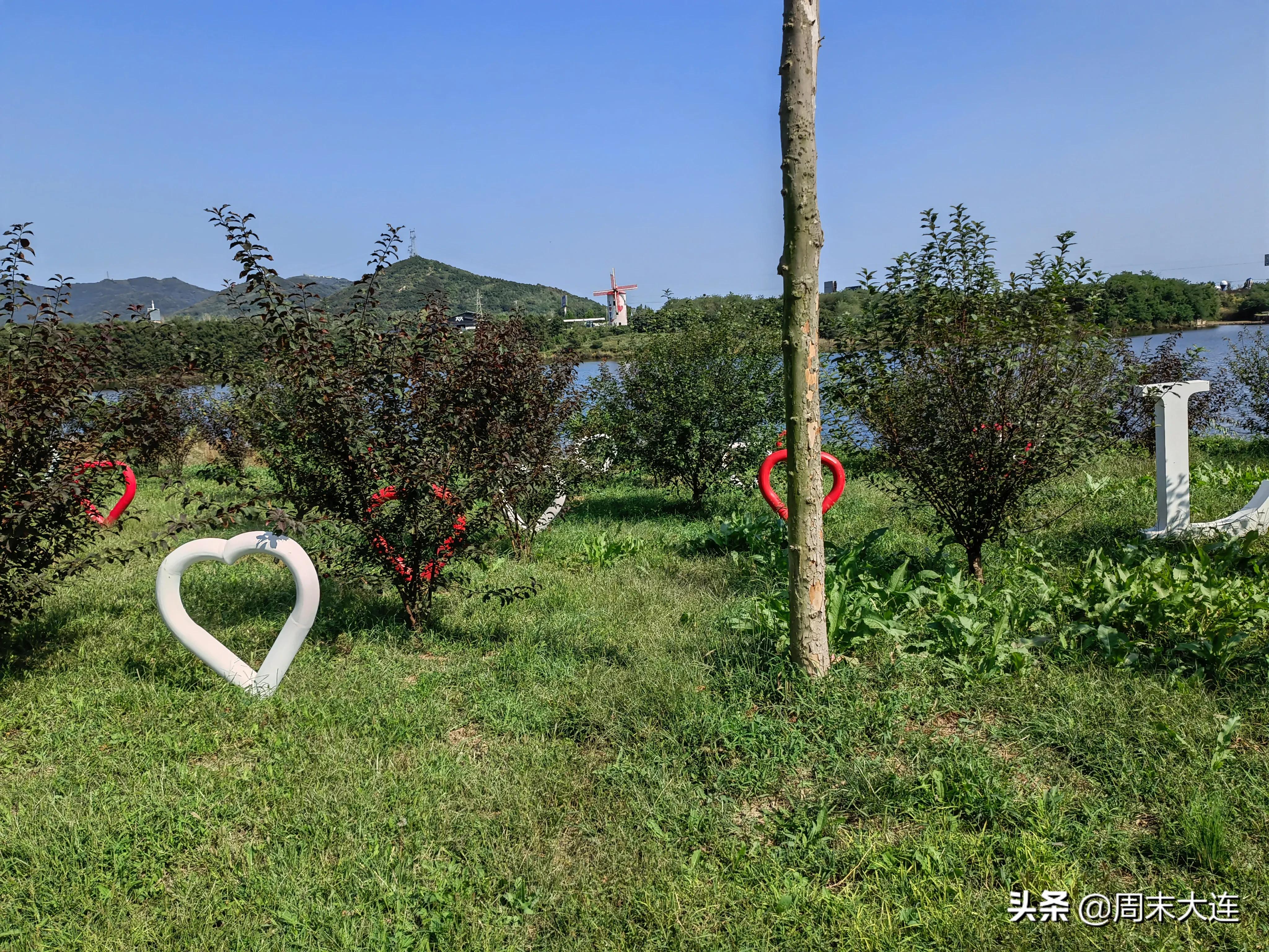 铭湖牧场是哪,铭湖牧场简介