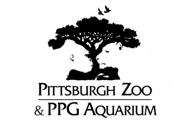 logo隐藏十大秘密,涨姿势了什么意思