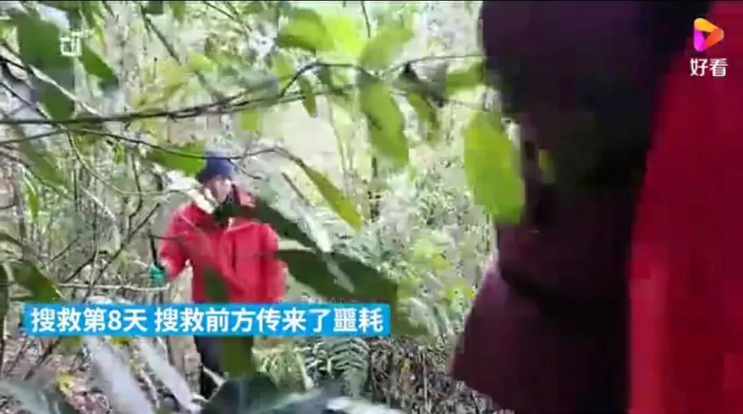 芳踪难觅濒危花!清新治愈篇:沙漠高原是吾家,豹子花的春天来了