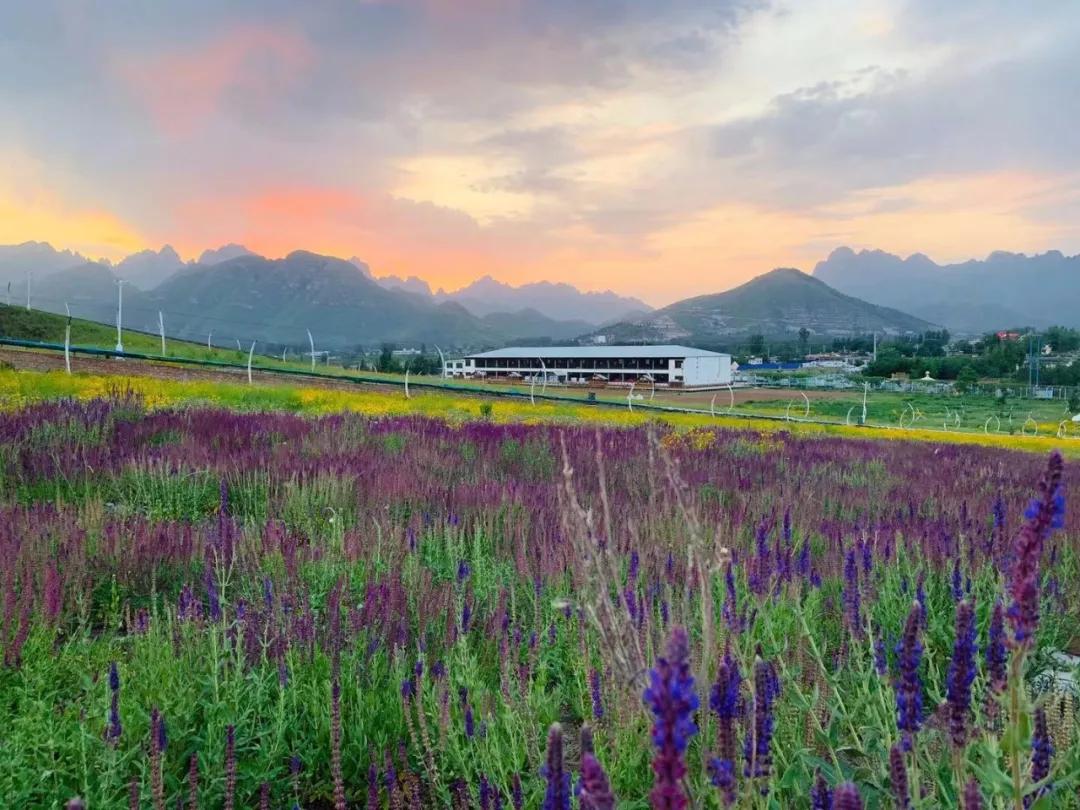 comeonbaby翻译,comeonbaby歌曲女声