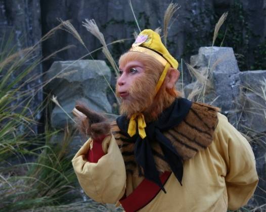 年轻人对六小龄童的态度,为什么那么多人吐槽六小龄童