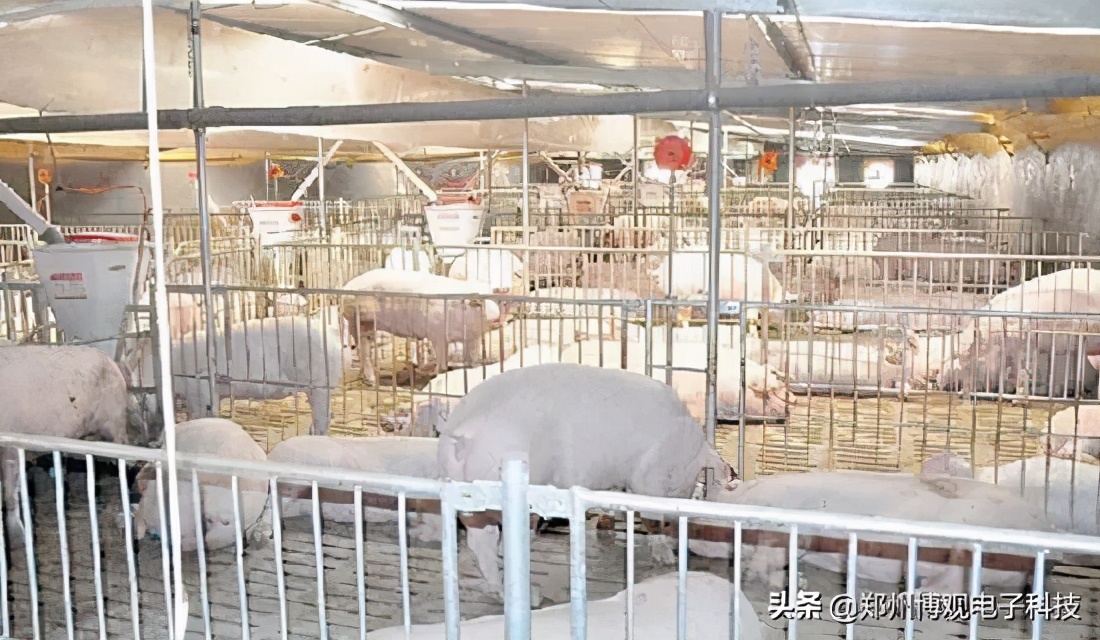 物联网远程操控软件,物联网远程控制使用什么软件