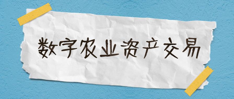 “链上农资”——我的农场主领跑数字农业