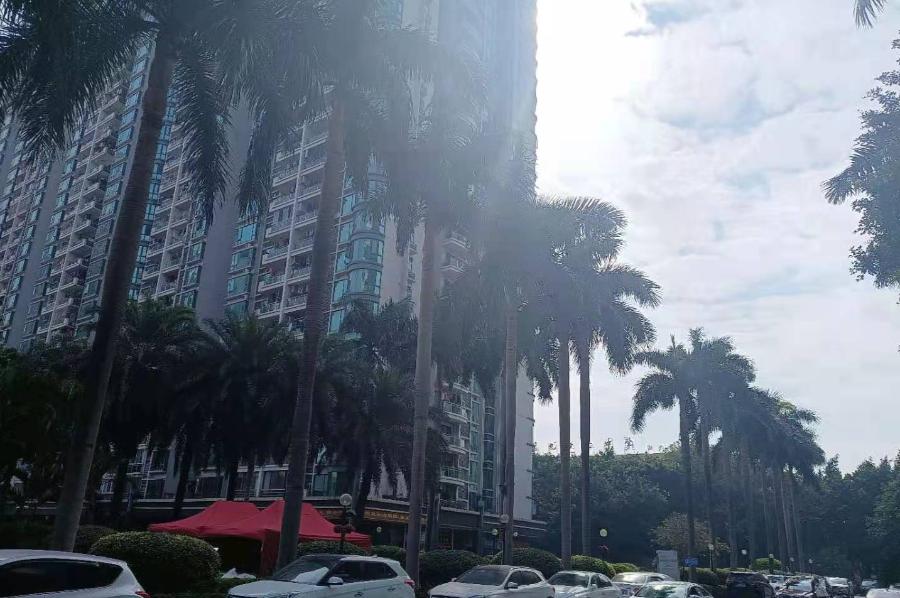 海珠楼市板块分析,20年楼龄