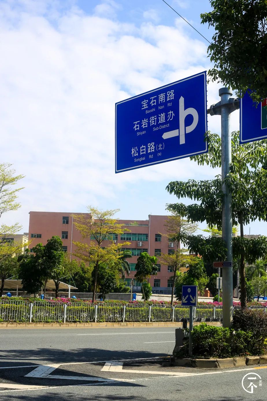 深圳“厂哥村”，女生可以百里挑一？