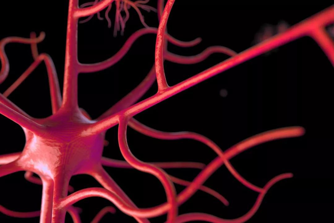 大隐静脉曲张淤积性皮炎,静脉淤积性皮炎图片