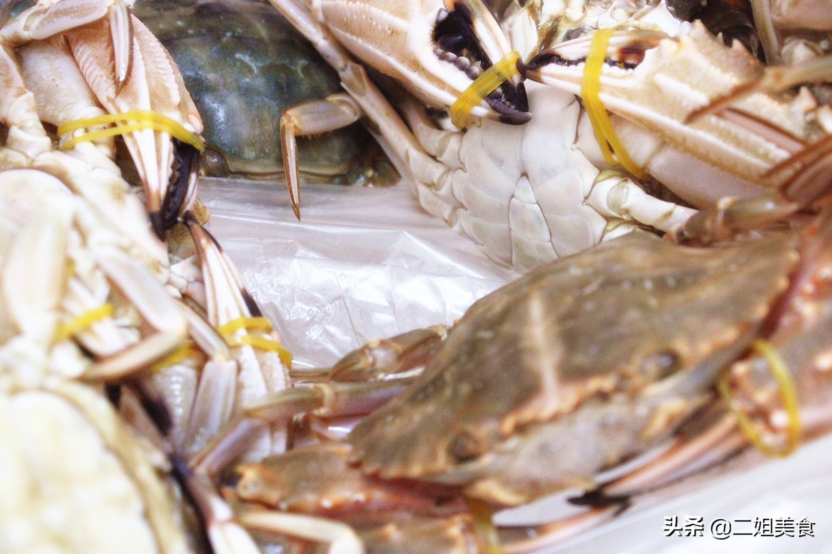 螃蟹买黄色的好还是买青的好,买螃蟹需要注意什么怎么选